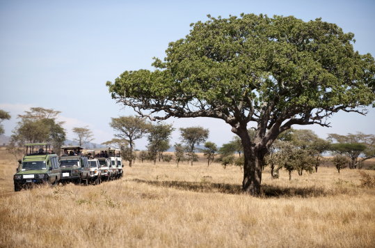 Tanzania safaris 3