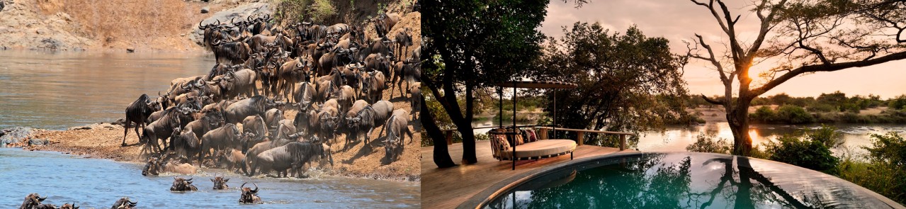 6-days-great-migration-safari