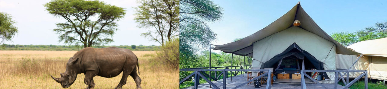 12-Day-Tanzania-Safari-and-Beach-Combo-Overnight-in-Serengeti