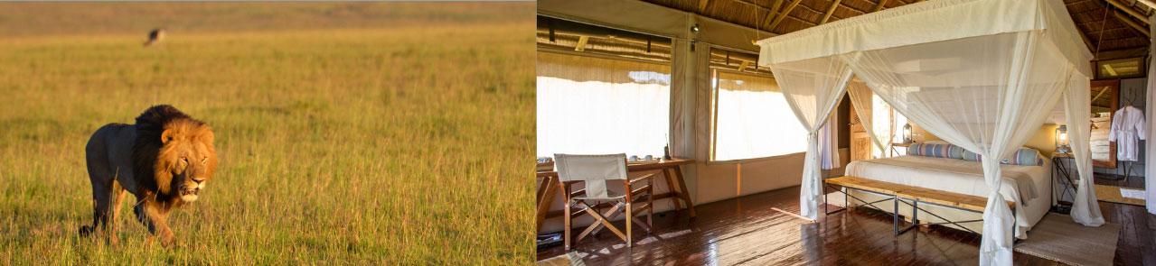 Kubukubu-tented-camp-9-Day-Great-Migration-Luxury-Adventure