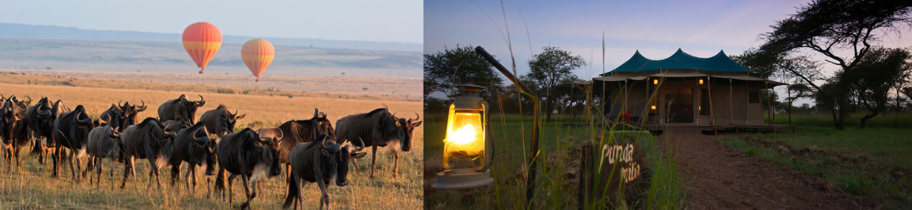 Narudi-Tented-Camp-9-Day-Great-Migration-Luxury-Adventure