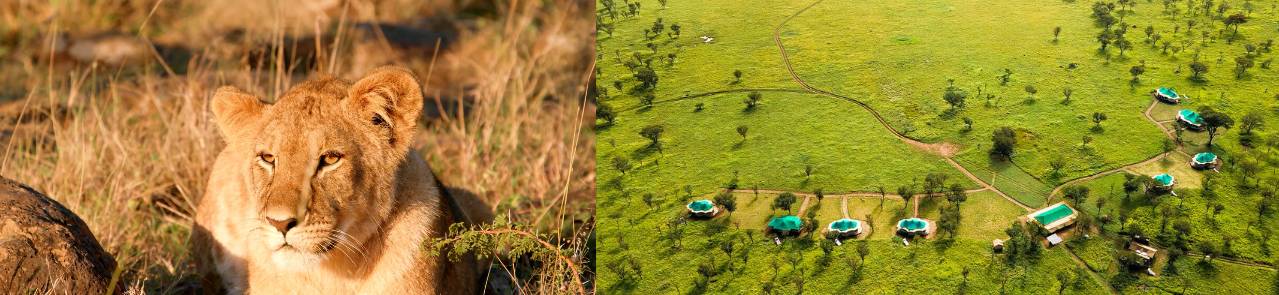 Narudi Tented Camp in Central Serengeti_8-Day Family Luxury Safari