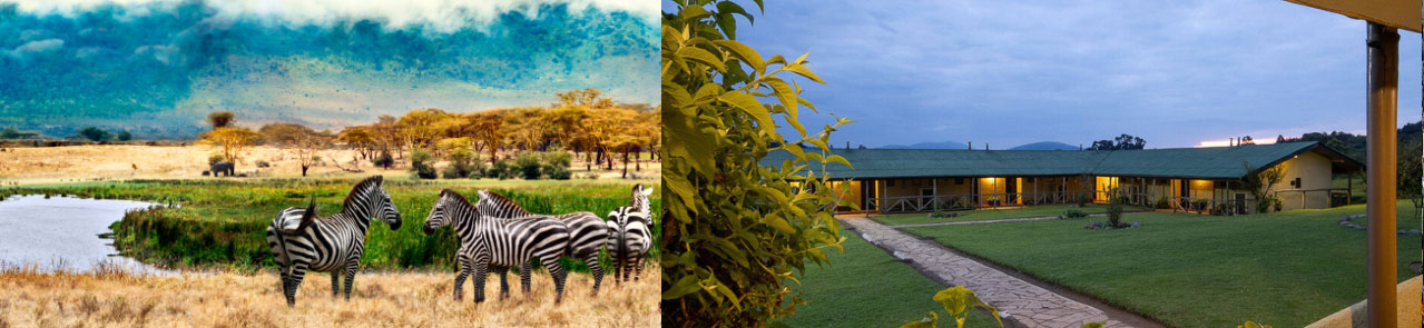 Ngorongoro-Rhino-Lodge-9-Day-Great-Migration-Luxury-Adventure