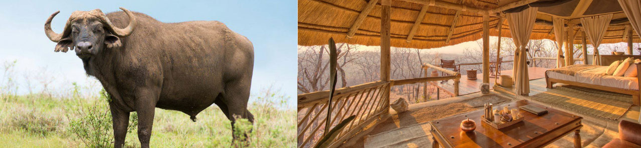 Ruaha-national-park-11-Days-Southern-Tanzania-Explorer