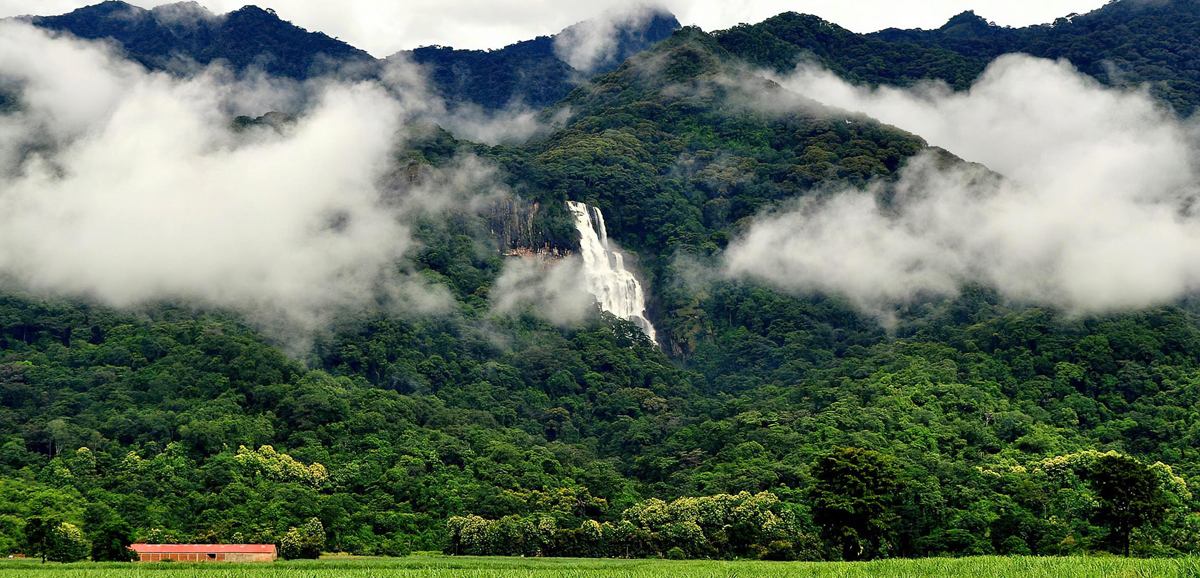 Udzungwa_National_Park