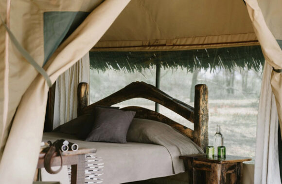 6-Day Ngorongoro and Tarangire Private Safari-tarangire-safari-lodge-tanzania