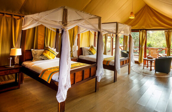 tarangire-simba-lodge