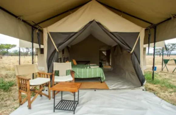 Serengeti-Katikati-Tented-Camp