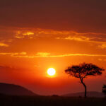 Best-time-to-visit-tanzania-luxury-safaris