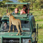 What is the Best Safari Route in Tanzania?-Game-drive-in-Serengeti