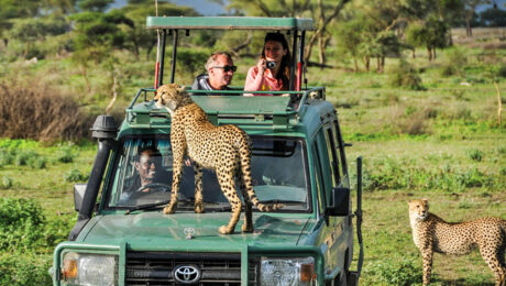 What is the Best Safari Route in Tanzania?-Game-drive-in-Serengeti