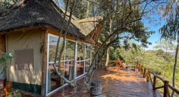 luxury-safari luxury-safari